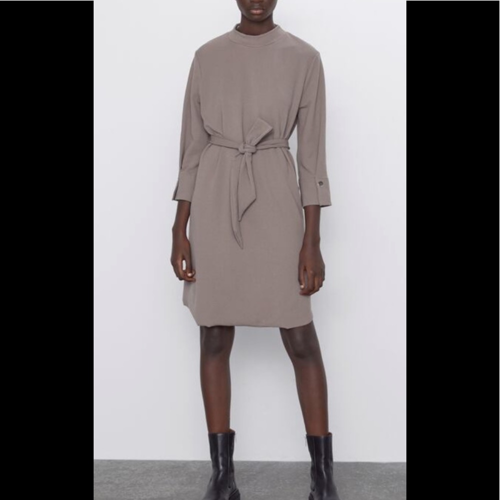 ZARA NWT textured brown dress . Mock neck size L